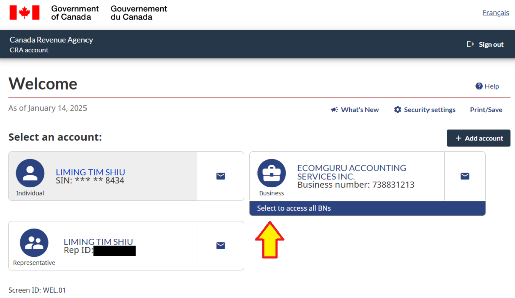 Three options after login: Individual, Business and Representative.
